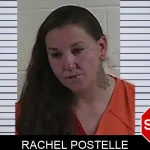 Rachel Postelle mugshot – Fannin County , Georgia Rachel Postelle mugshot