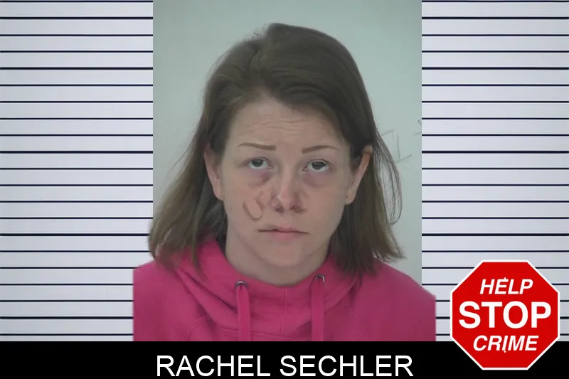 Rachel Sechler mugshot – Fayette County , Georgia Rachel Sechler mugshot
