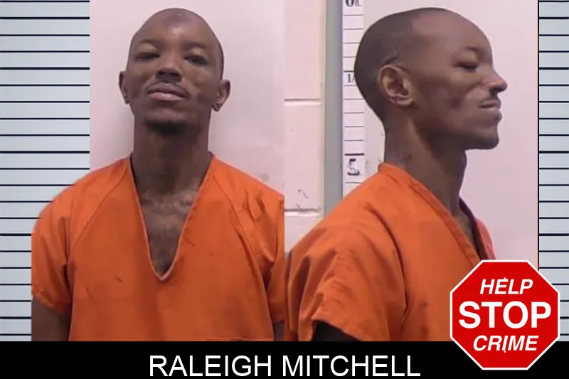 Raleigh Mitchell mugshot