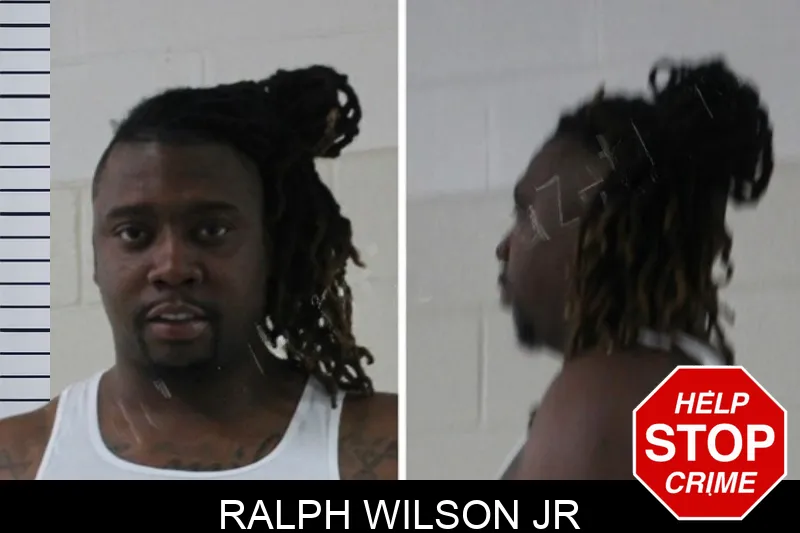 Ralph Wilson Jr mugshot – Houston County , Georgia Ralph Wilson Jr mugshot