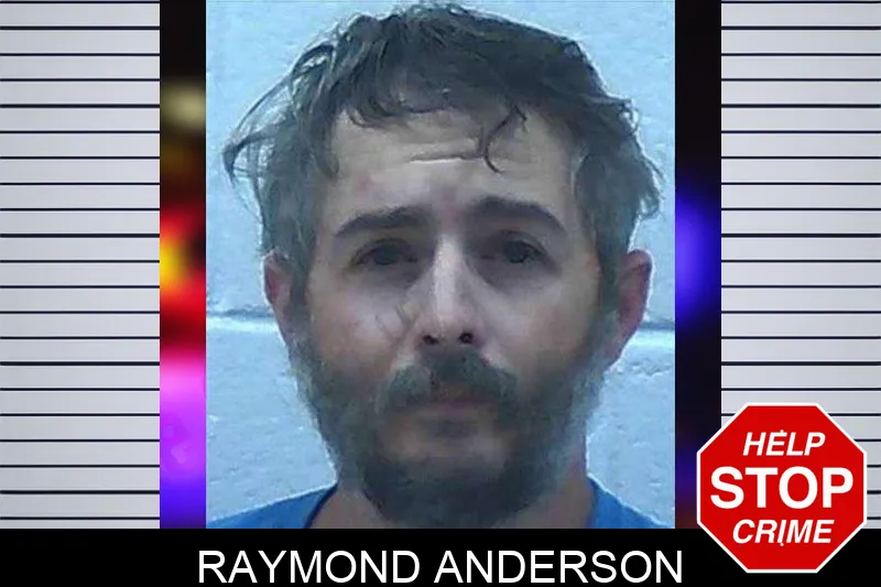 Raymond Anderson mugshot
