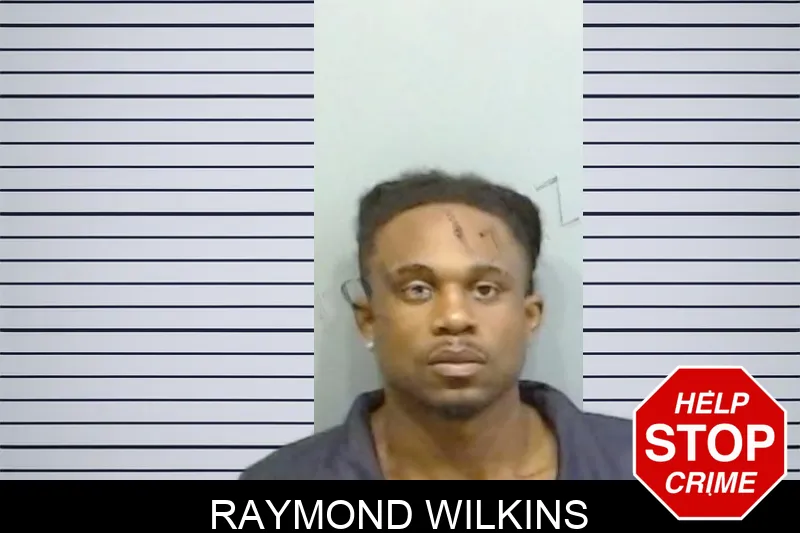 Raymond Wilkins mugshot