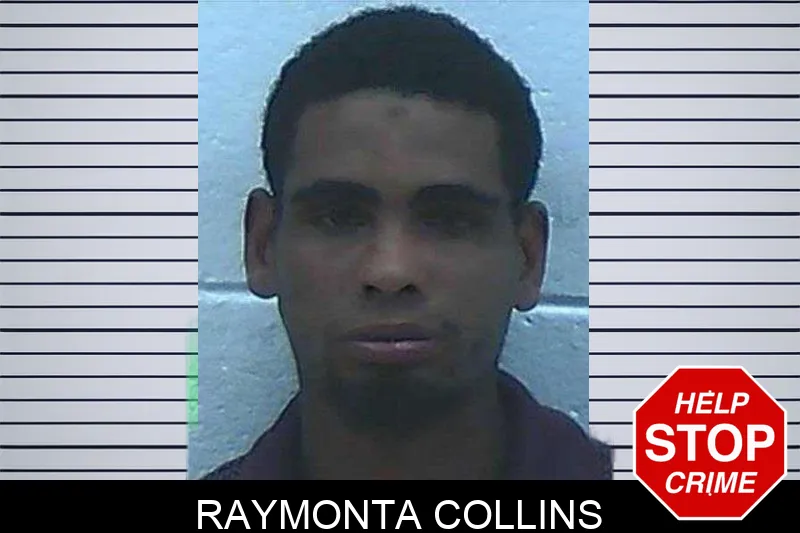 Raymonta Collins mugshot – Jackson County , Georgia Raymonta Collins mugshot