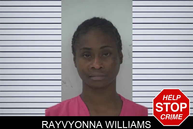 Rayvyonna Williams mugshot