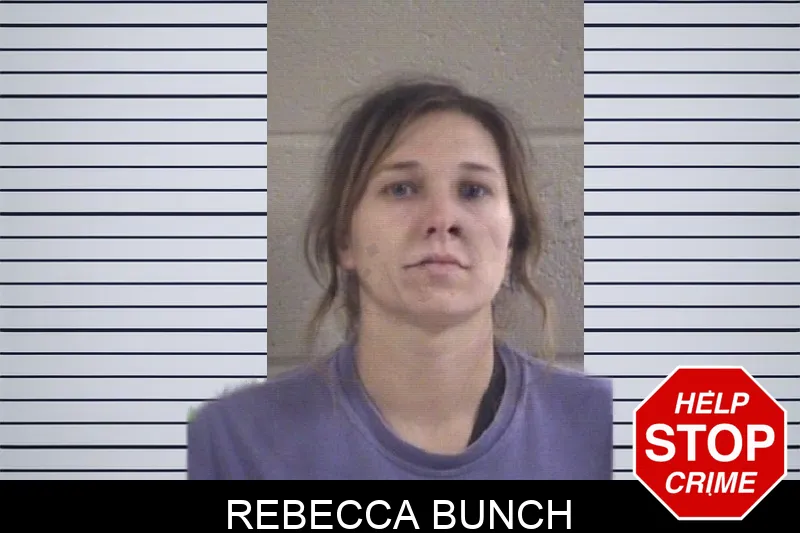 Rebecca Bunch mugshot