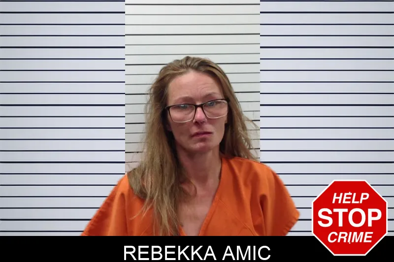 Rebekka Amic mugshot