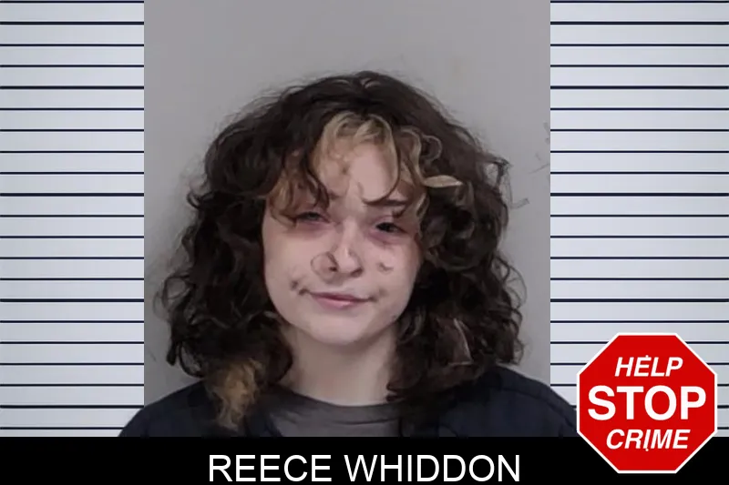 Reece Whiddon mugshot – Lowndes County , Georgia Reece Whiddon mugshot