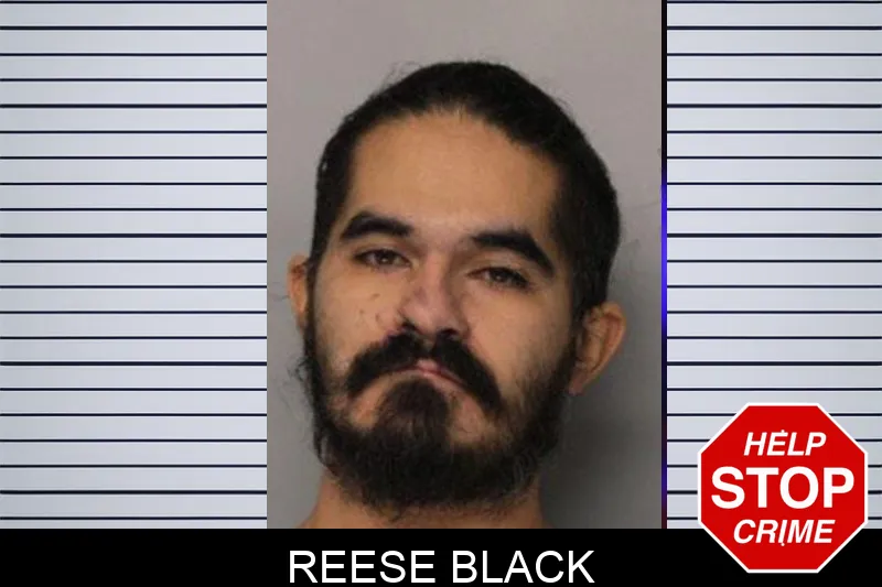 Reese Black mugshot