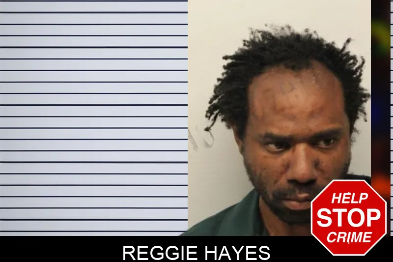 Reggie Hayes mugshot – Chatham County , Georgia Reggie Hayes mugshot