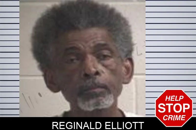 Reginald Elliott mugshot – Henry County , Georgia Reginald Elliott mugshot