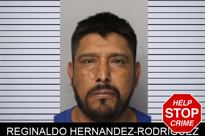 Reginaldo Hernandez-Rodriguez mugshot