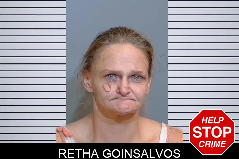 Retha Goinsalvos mugshot – Glynn County , Georgia Retha Goinsalvos mugshot
