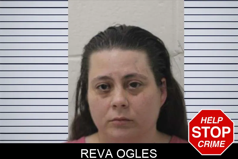Reva Ogles mugshot