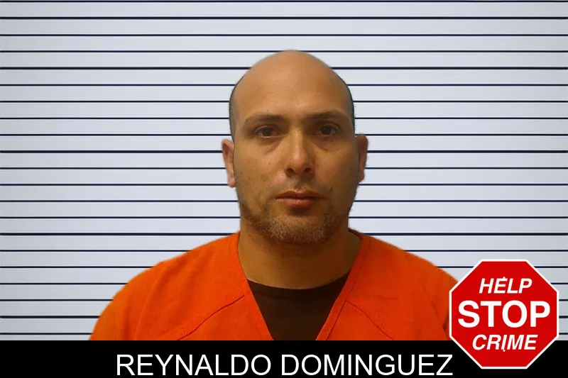 Reynaldo Dominguez mugshot – Franklin County , Georgia Reynaldo Dominguez mugshot