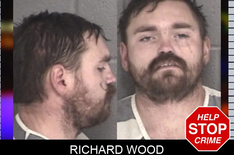 Richard Wood mugshot – Barrow County , Georgia Richard Wood mugshot