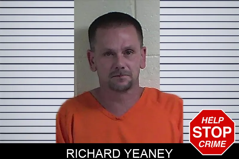 Richard Yeaney mugshot – Fannin County , Georgia Richard Yeaney mugshot