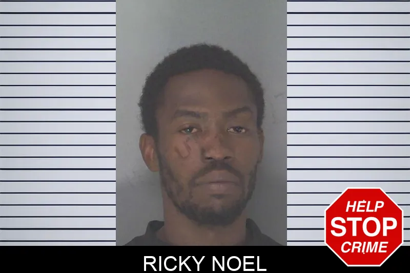 Ricky Noel mugshot – Douglas County , Georgia Ricky Noel mugshot
