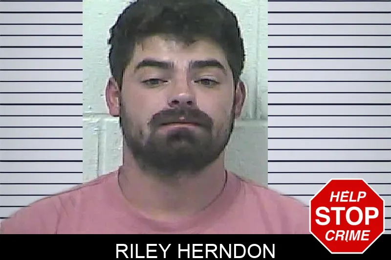 Riley Herndon mugshot – Dawson County , Georgia Riley Herndon mugshot