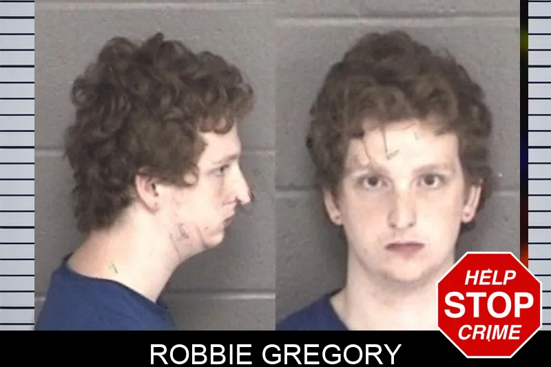 Robbie Gregory mugshot – Barrow County , Georgia Robbie Gregory mugshot