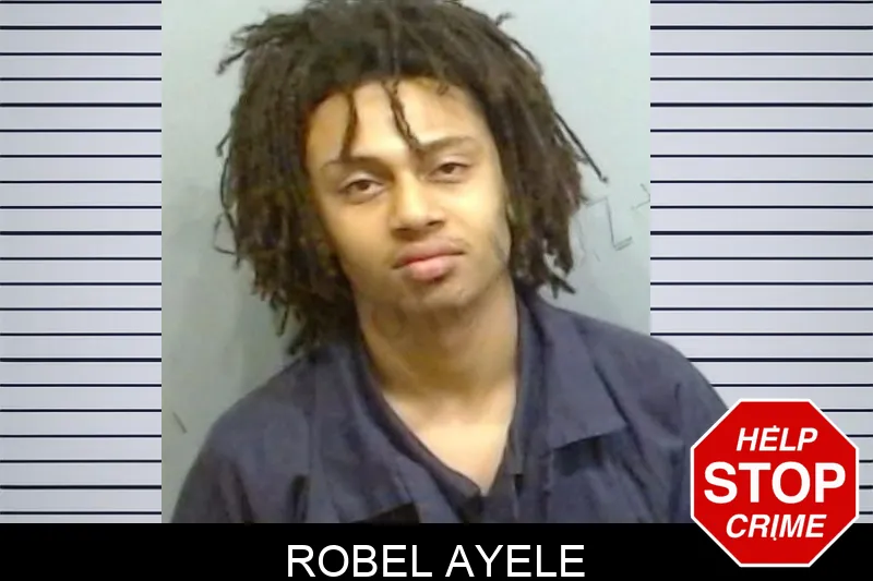 Robel Ayele mugshot – Fulton County , Georgia Robel Ayele mugshot
