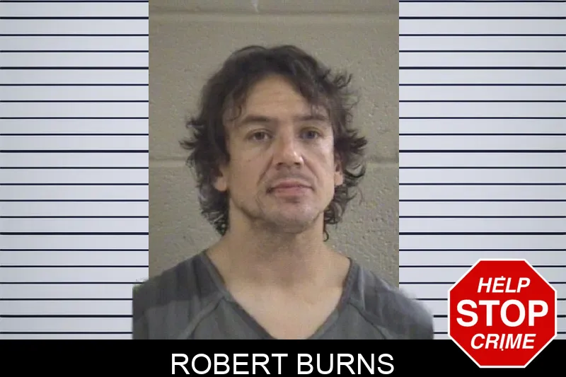 Robert Burns mugshot – Whitfield County , Georgia Robert Burns mugshot