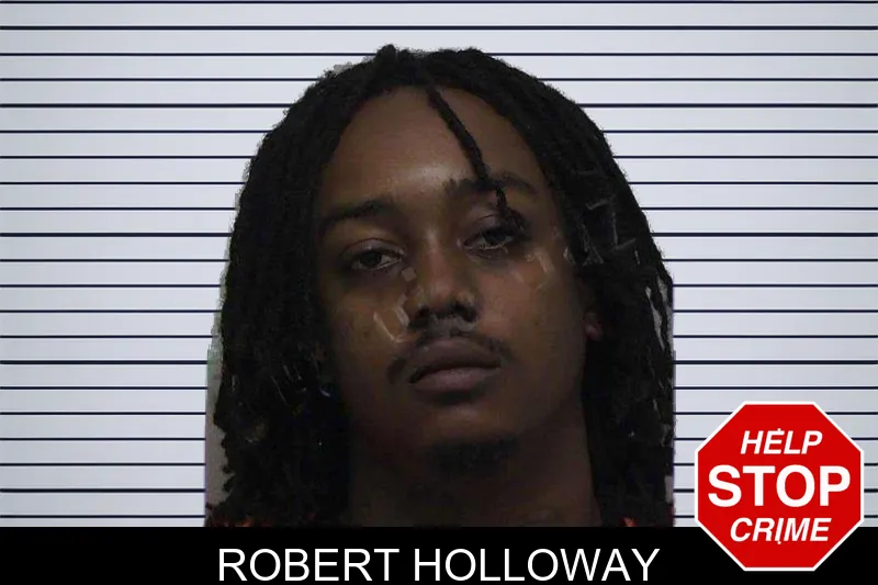 Robert Holloway mugshot