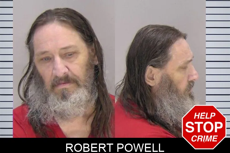 Robert Powell mugshot