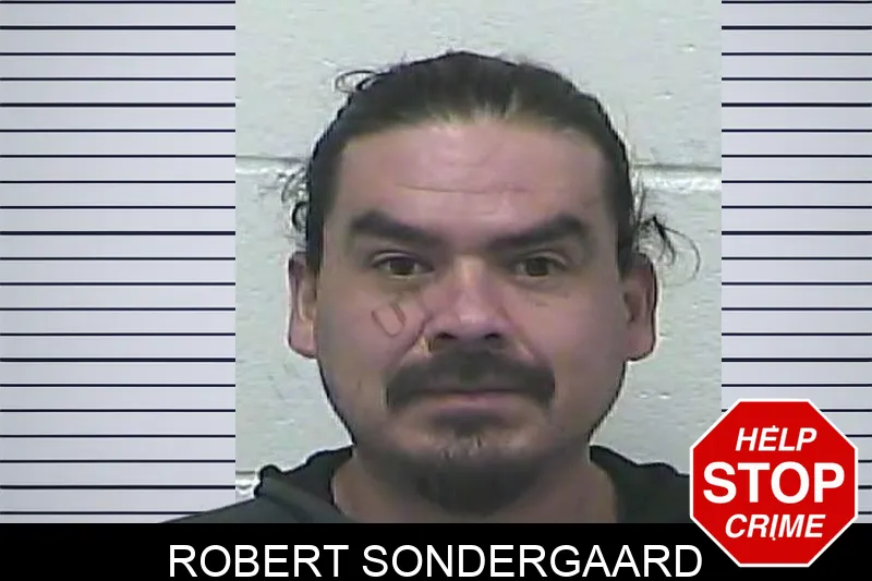 Robert Sondergaard mugshot – Dawson County , Georgia Robert Sondergaard mugshot