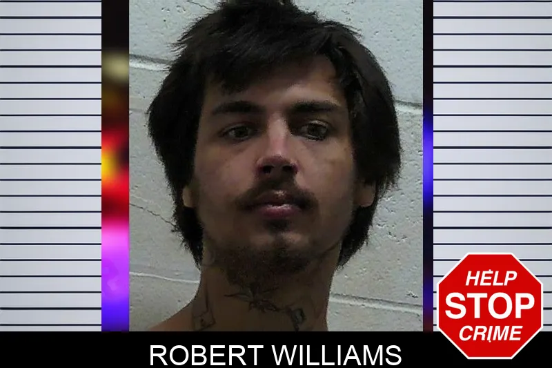 Robert Williams mugshot – Pierce County , Georgia Robert Williams mugshot