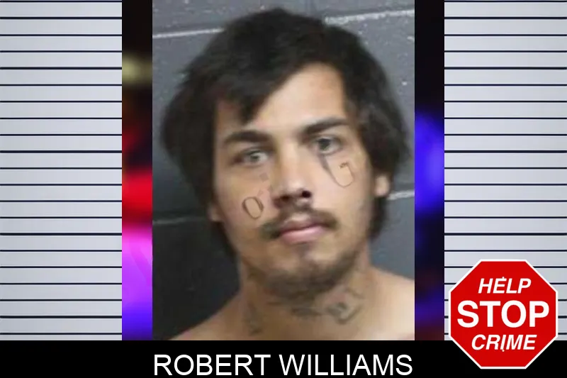 Robert Williams mugshot – Bacon County , Georgia Robert Williams mugshot