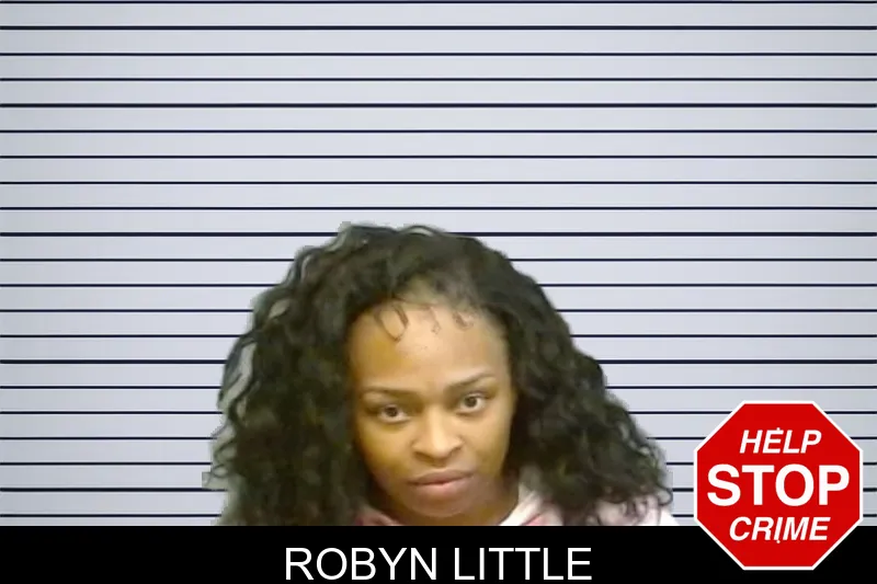 Robyn Little mugshot