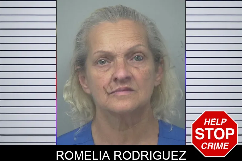 Romelia Rodriguez mugshot – Gwinnett County , Georgia Romelia Rodriguez mugshot