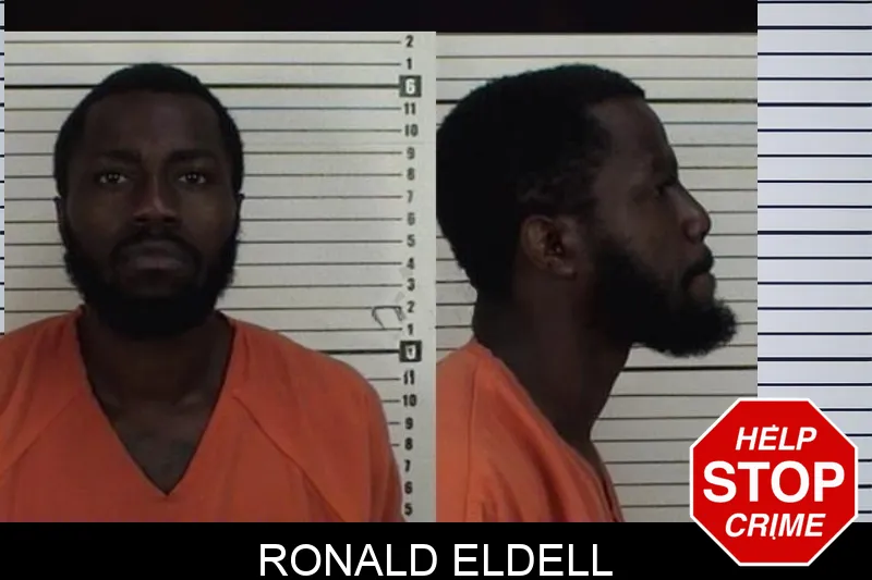 Ronald Eldell mugshot – Camden County , Georgia Ronald Eldell mugshot