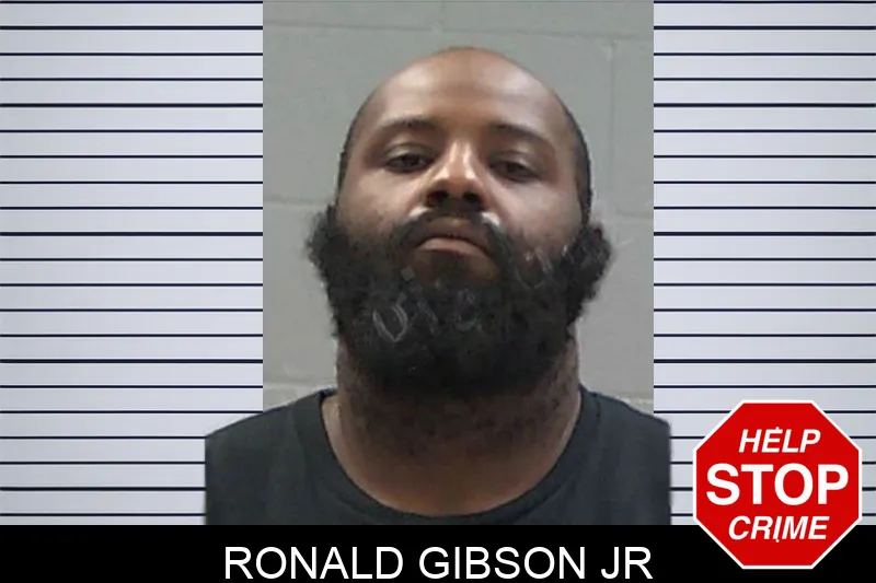 Ronald Gibson Jr mugshot