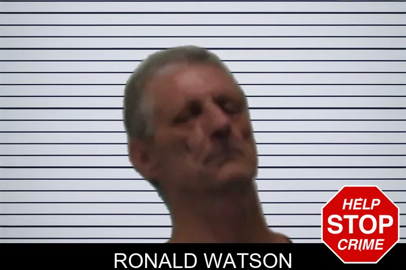 Ronald Watson mugshot – Pierce County , Georgia Ronald Watson mugshot