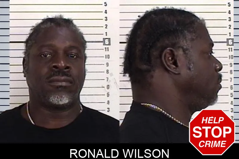 Ronald Wilson mugshot – Camden County , Georgia Ronald Wilson mugshot
