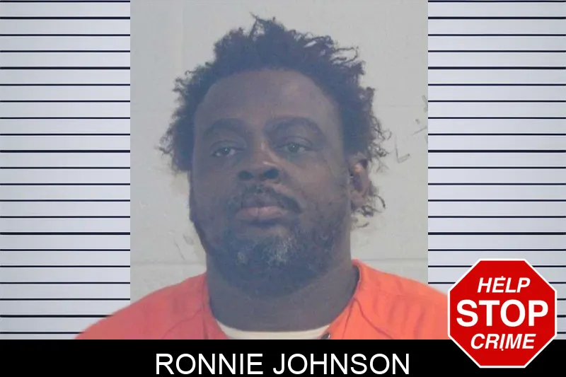 Ronnie Johnson mugshot