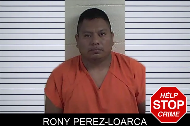 Rony Perez-Loarca mugshot – Fannin County , Georgia Rony Perez-Loarca mugshot