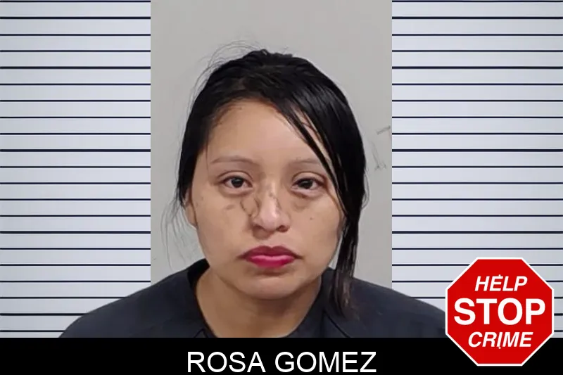 Rosa Gomez mugshot – Lowndes County , Georgia Rosa Gomez mugshot
