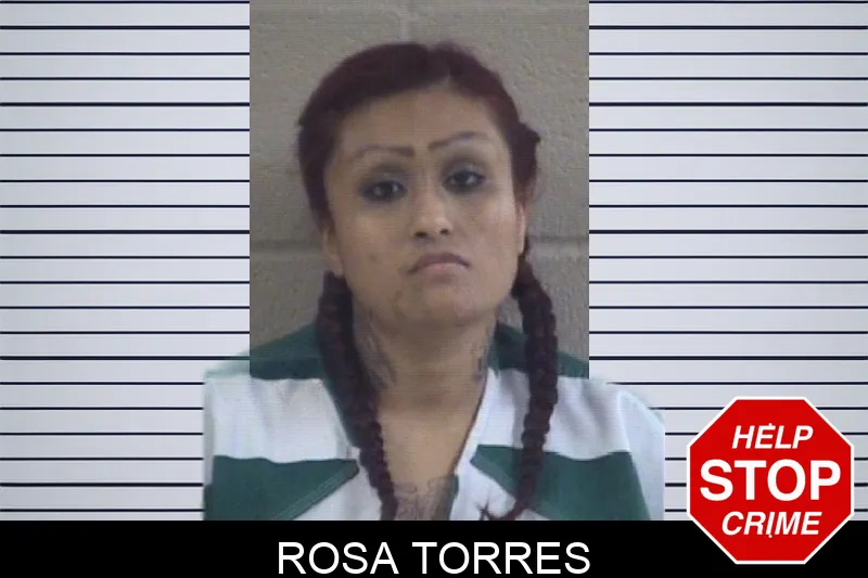 Rosa Torres mugshot – Whitfield County , Georgia Rosa Torres mugshot