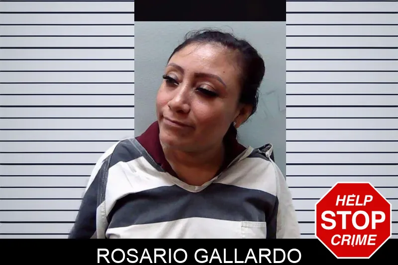 Rosario Gallardo mugshot – Evans County , Georgia Rosario Gallardo mugshot