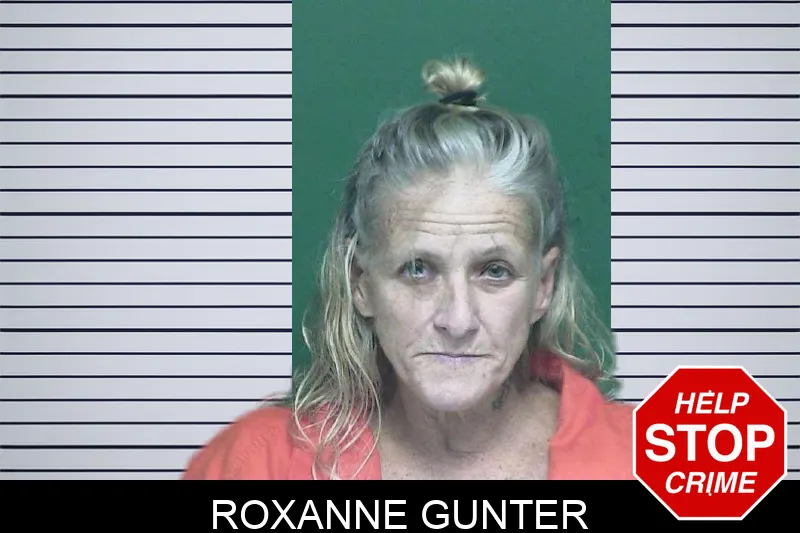 Roxanne Gunter mugshot – Appling County , Georgia Roxanne Gunter mugshot