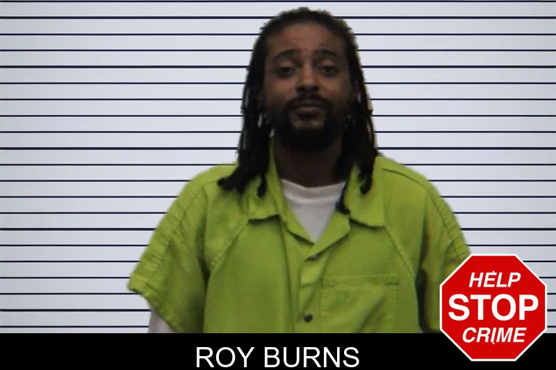 Roy Burns mugshot