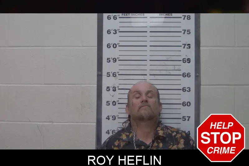 Roy Heflin mugshot – Irwin County , Georgia Roy Heflin mugshot