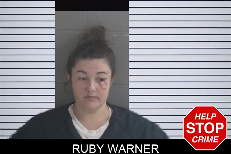Ruby Warner mugshot – Brantley County , Georgia Ruby Warner mugshot