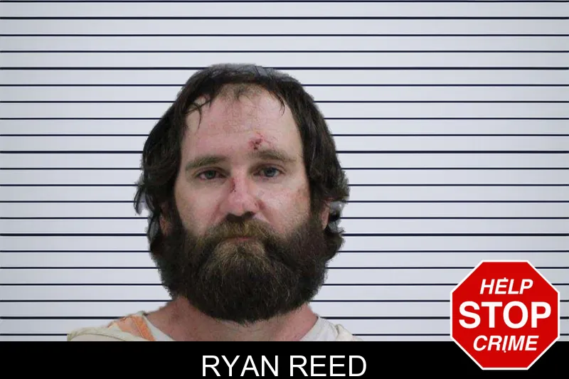 Ryan Reed mugshot – Rabun County , Georgia Ryan Reed mugshot