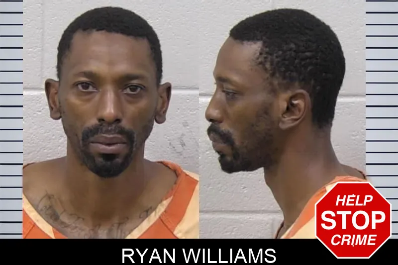 Ryan Williams mugshot