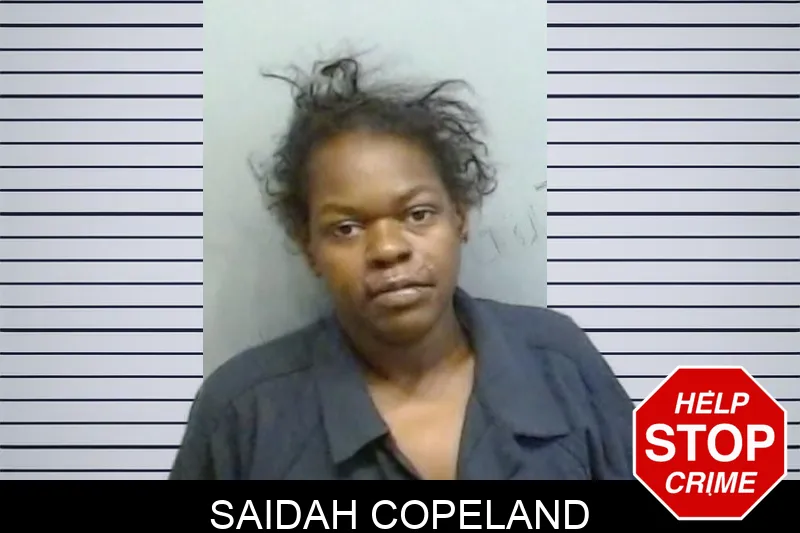 Saidah Copeland mugshot – Fulton County , Georgia Saidah Copeland mugshot