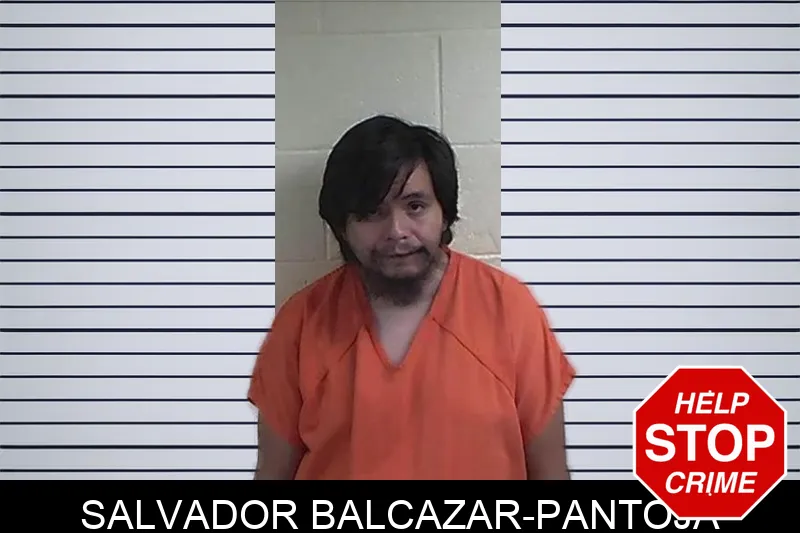 Salvador Balcazar-Pantoja mugshot – Fannin County , Georgia Salvador Balcazar-Pantoja mugshot