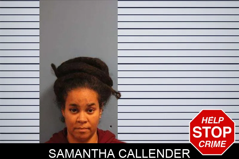Samantha Callender mugshot – Monroe County , Georgia Samantha Callender mugshot